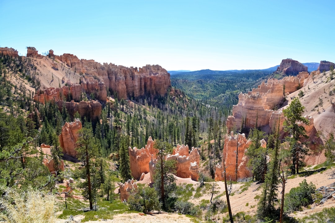 green trees near brown rock formation during daytime