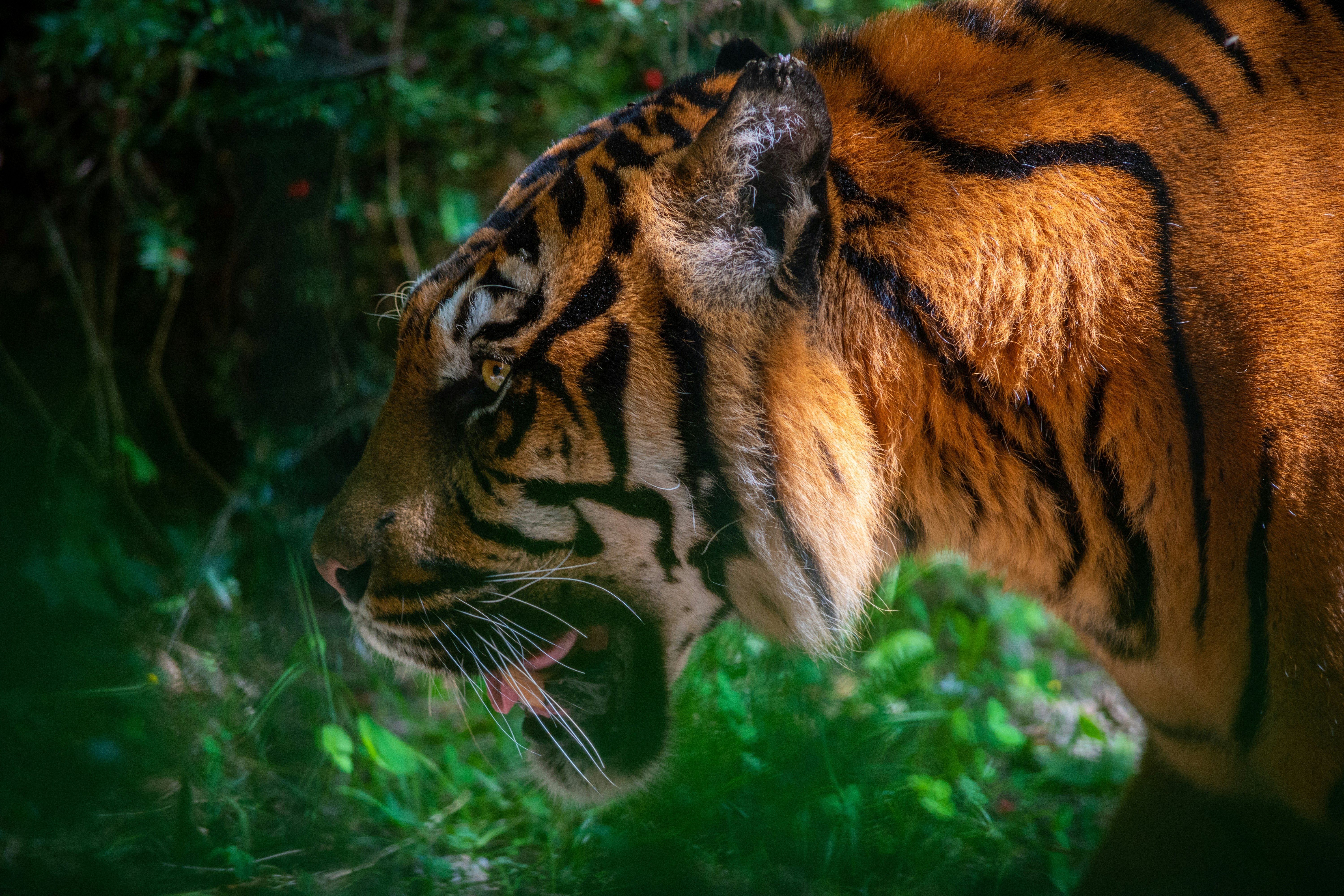 忧郁正在耗光你的能量