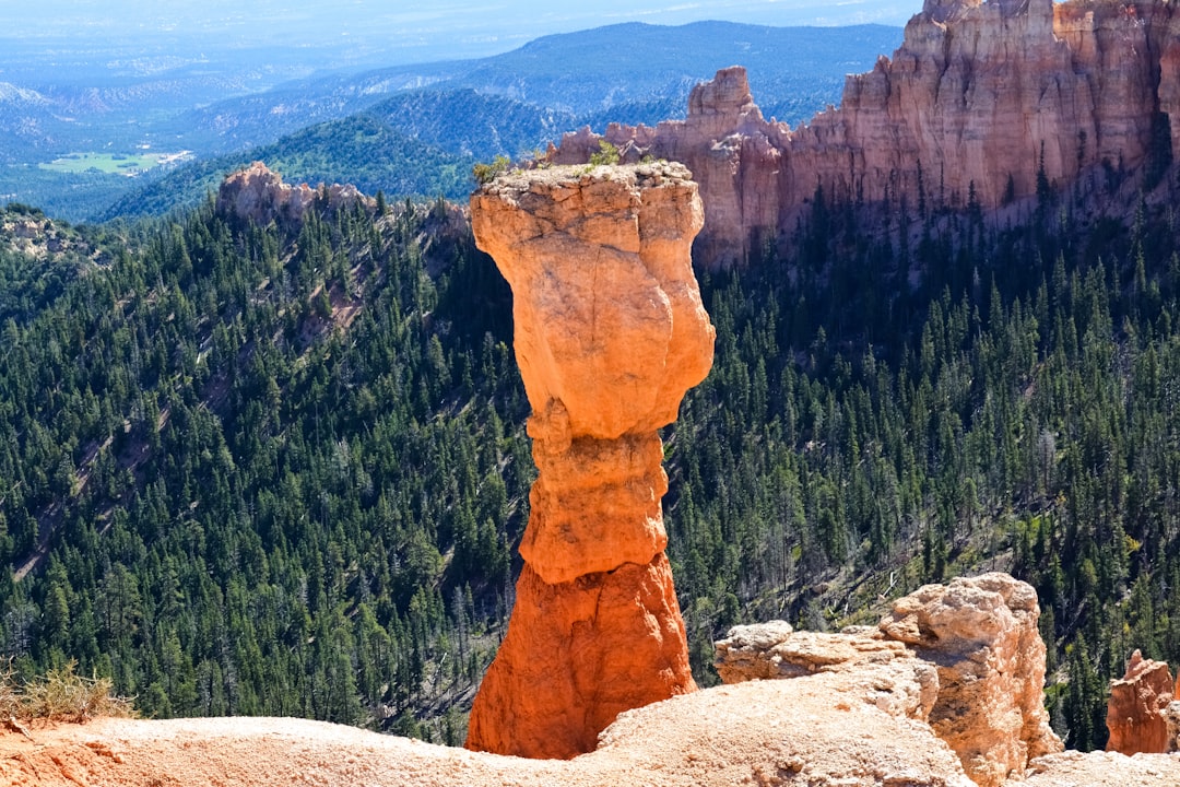 brown rock formation near green trees during daytime