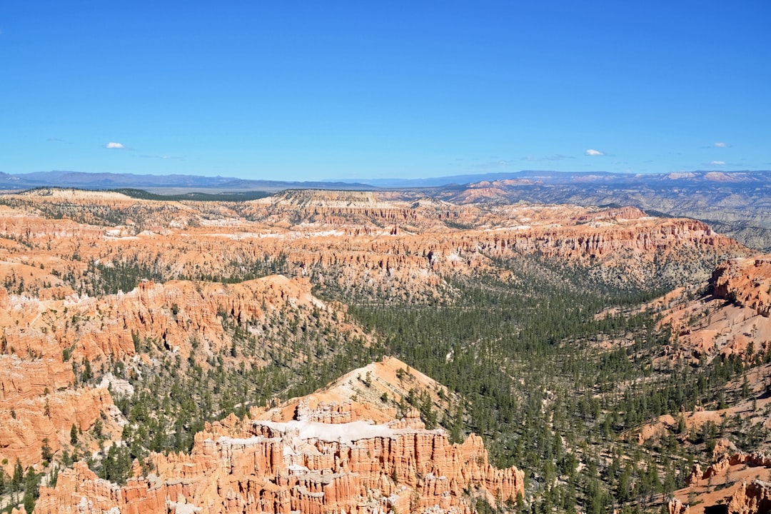 green trees and brown mountains under blue sky during daytime