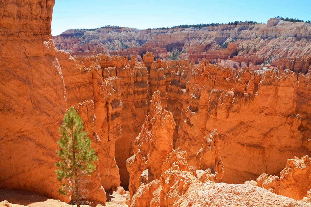 brown rock formation near green trees during daytime