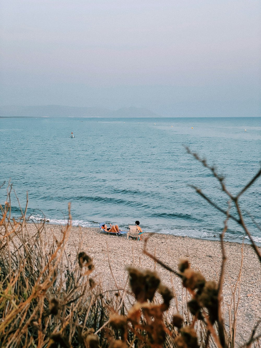 people on beach during daytime