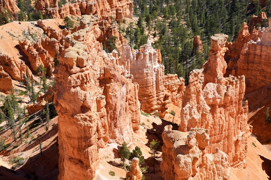 green trees on brown rocky mountain during daytime