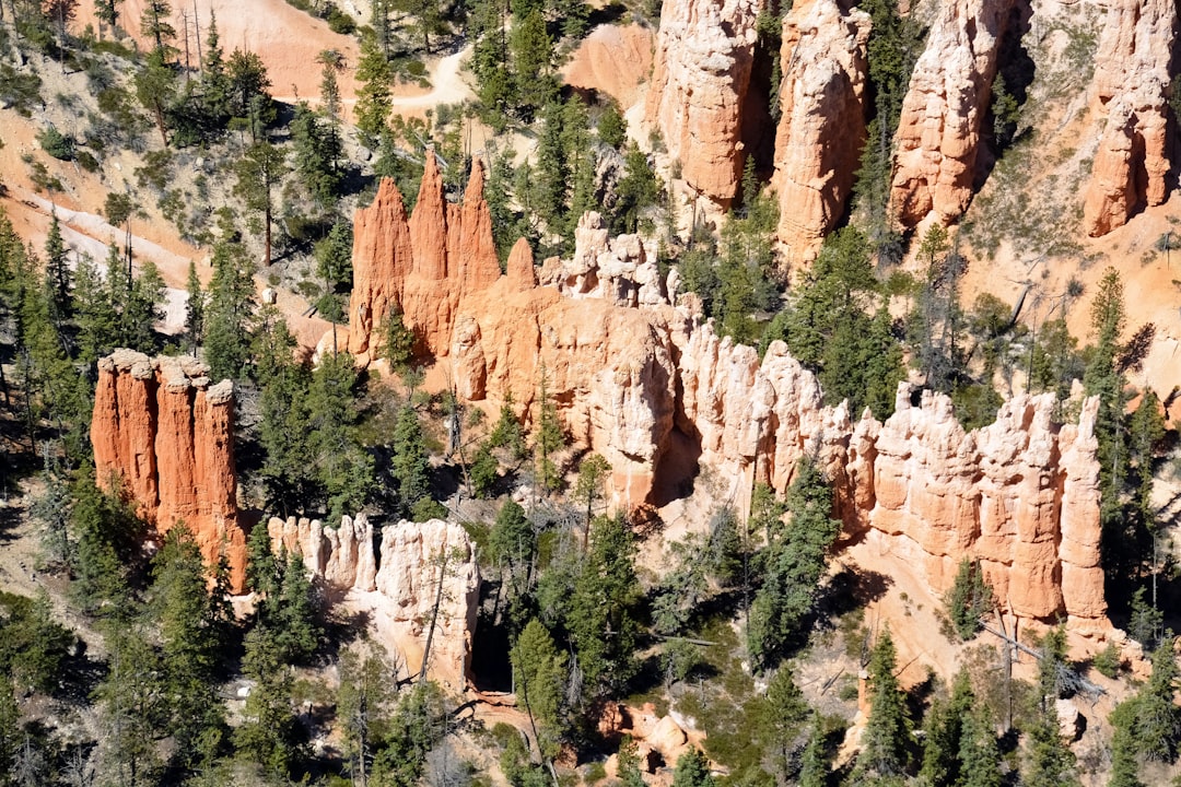 green trees on brown rocky mountain during daytime