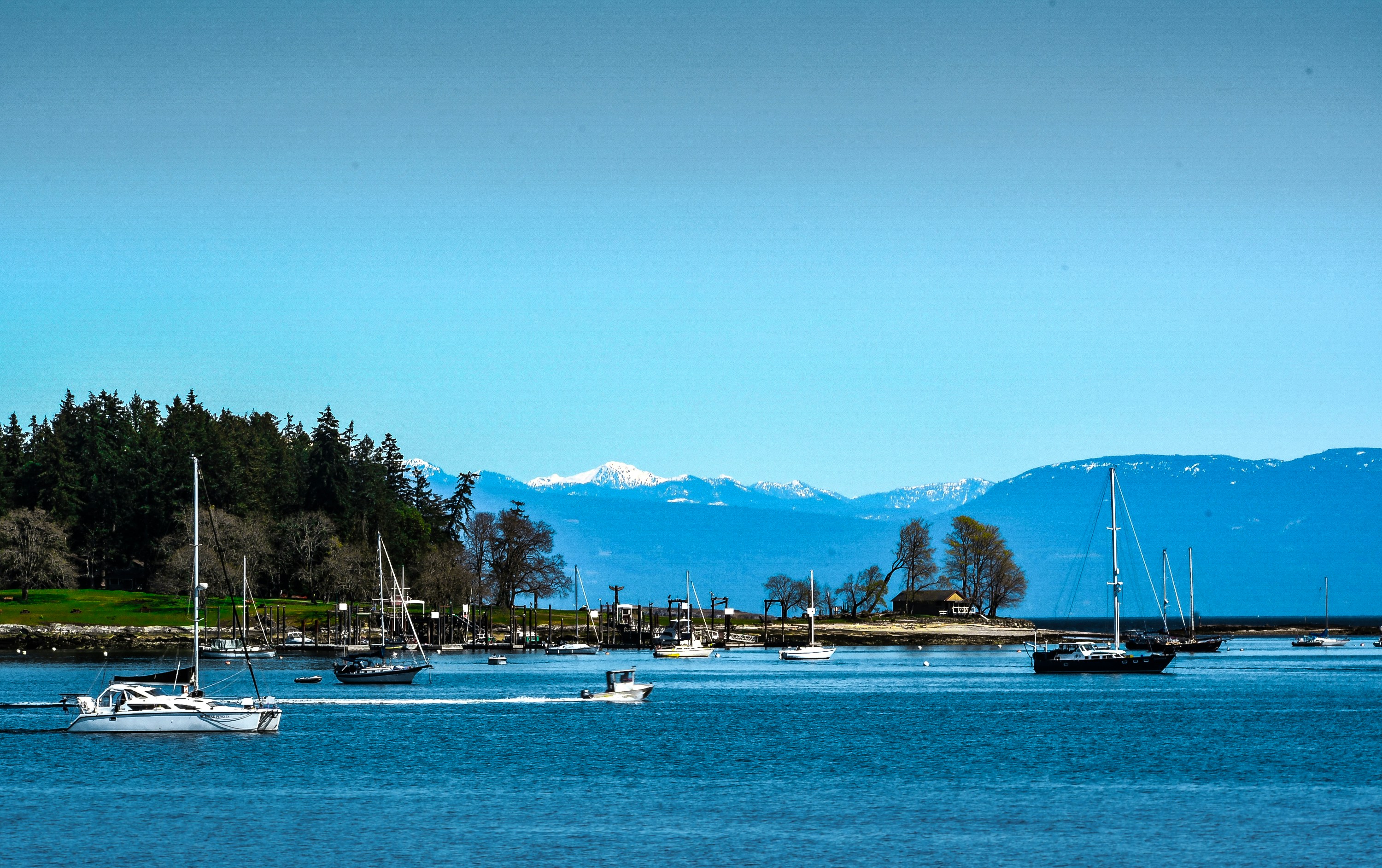 Photo by andrewgazula