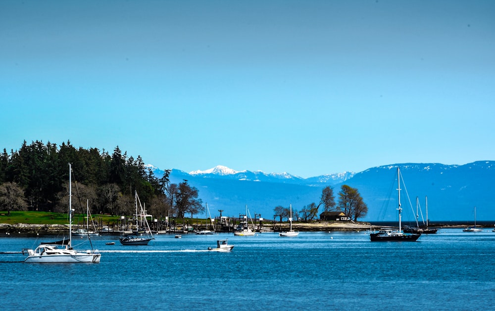 white boats on sea during daytime