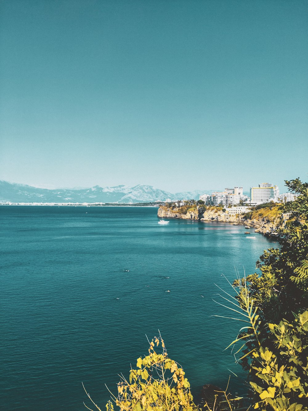 a body of water surrounded by trees and buildings