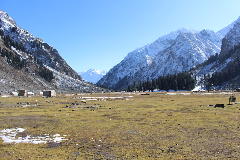 green grass field near mountain under blue sky during daytime