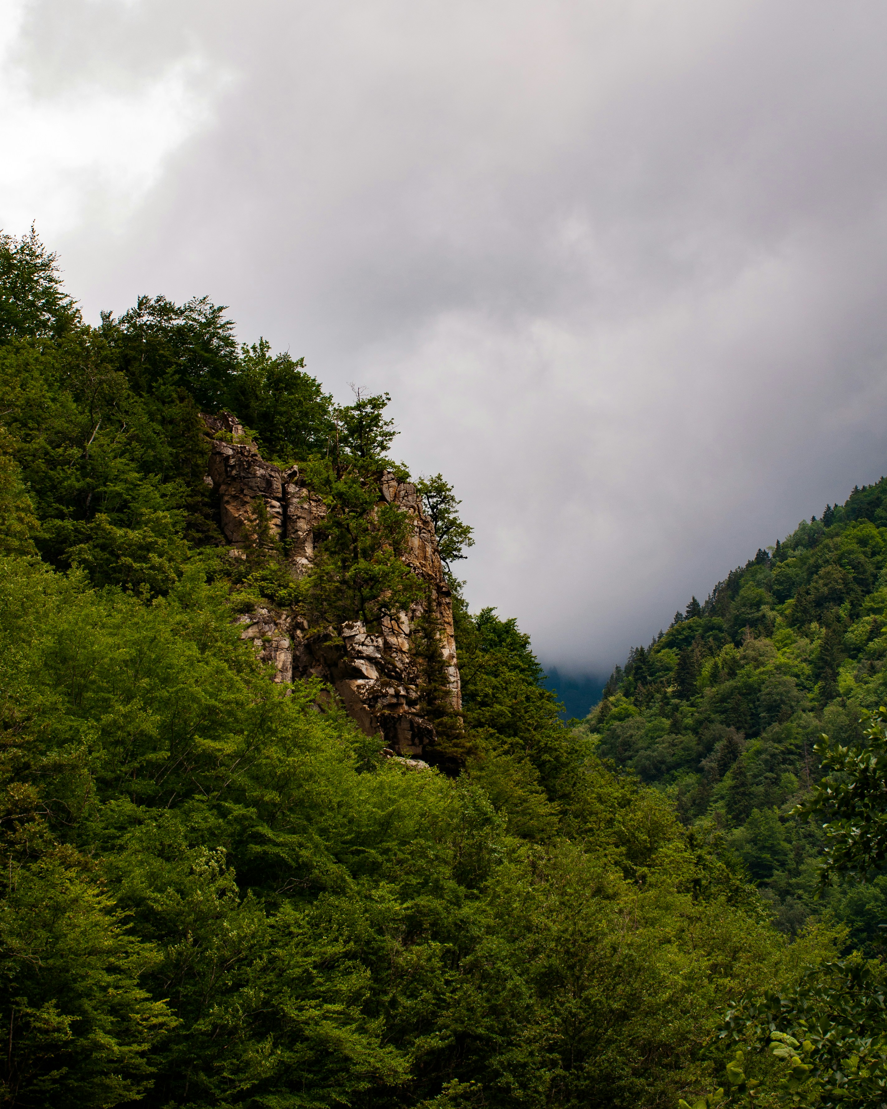 The Cryptocurrency Mirage: Why Digital Money Failed Its Promise