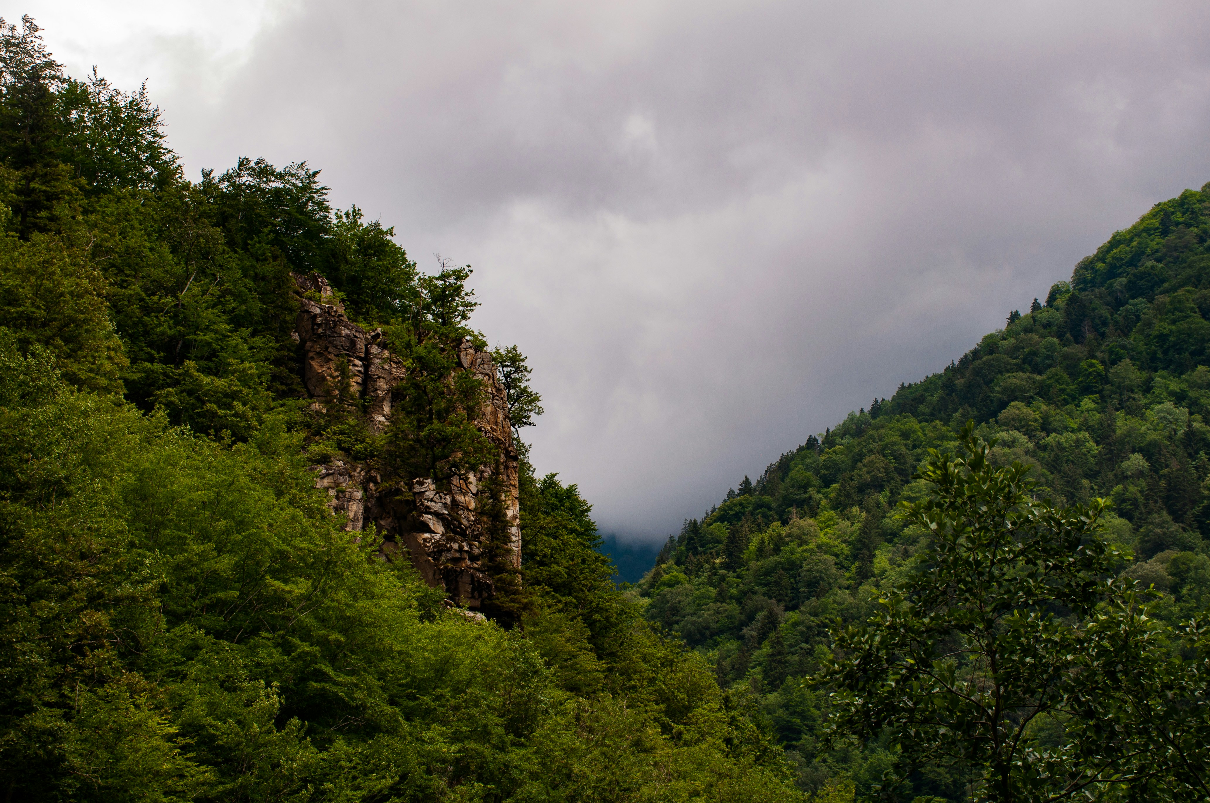 green trees on mountain under cloudy sky during daytime