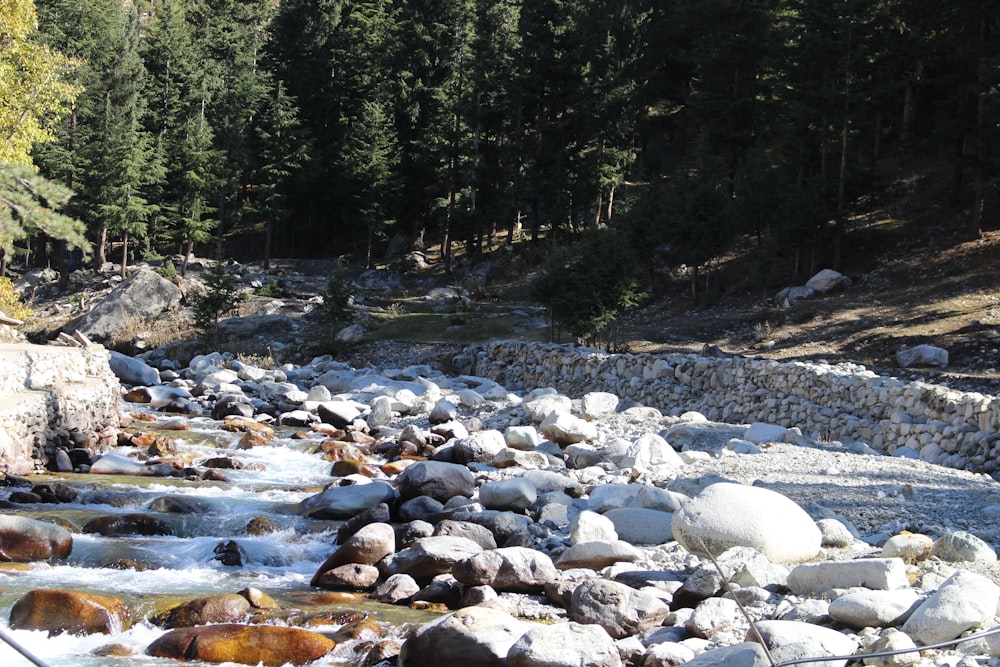 white and black stones on river