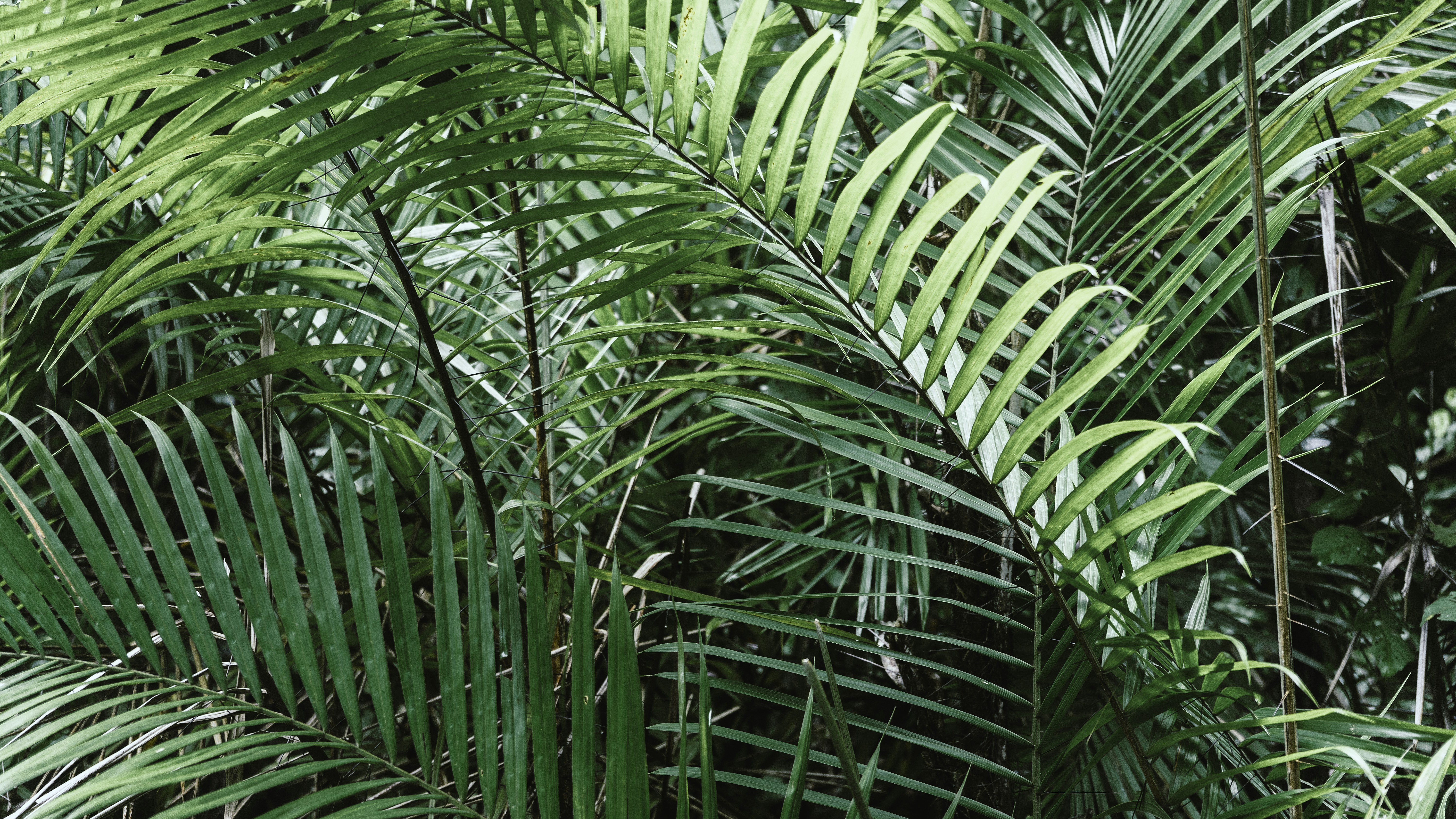 Photo by vfbranciforti