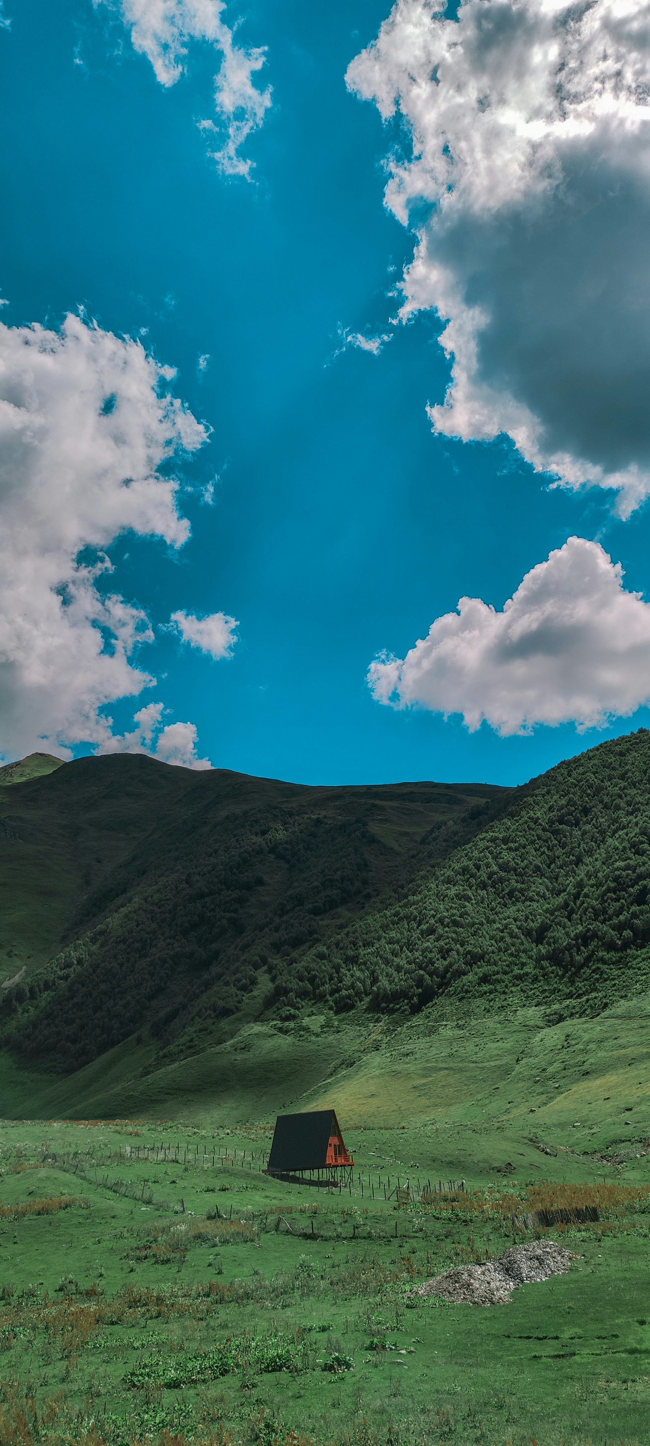 Photo by darya_tryfanava