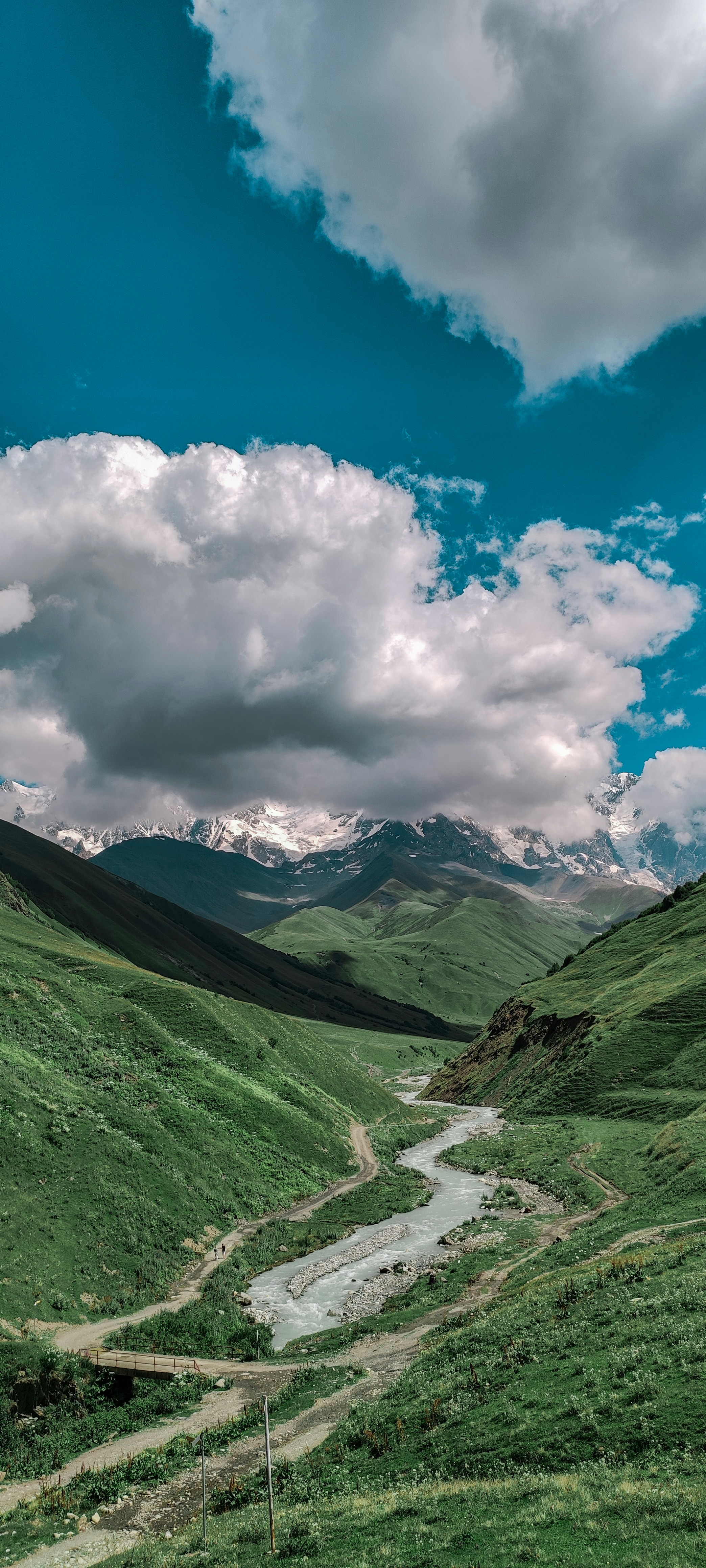 Photo by darya_tryfanava