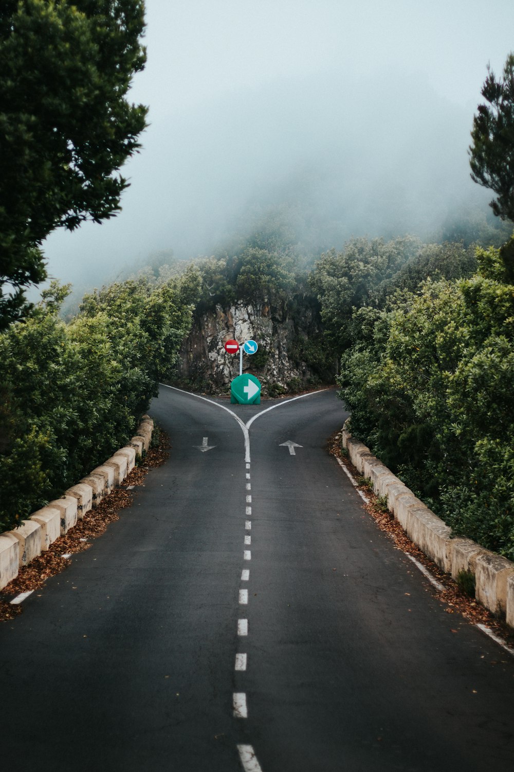 black car on road between green trees during daytime