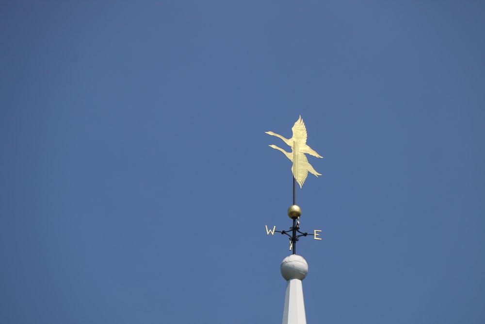 white bird flying under blue sky during daytime