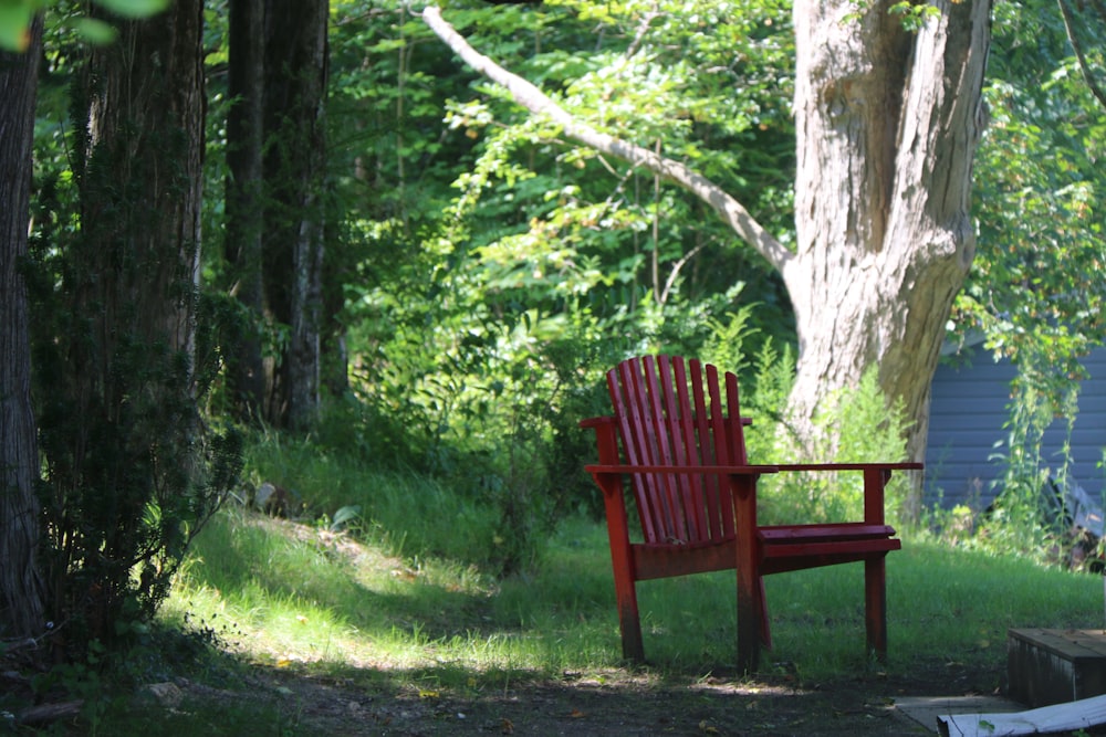 red wooden bench on green grass field