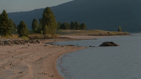 A serene lakeside landscape with a sandy beach curving along the edge of the water. Trees dot the shoreline, and forested hills rise in the background under a clear sky. The scene is calm, suggesting a quiet and peaceful place.