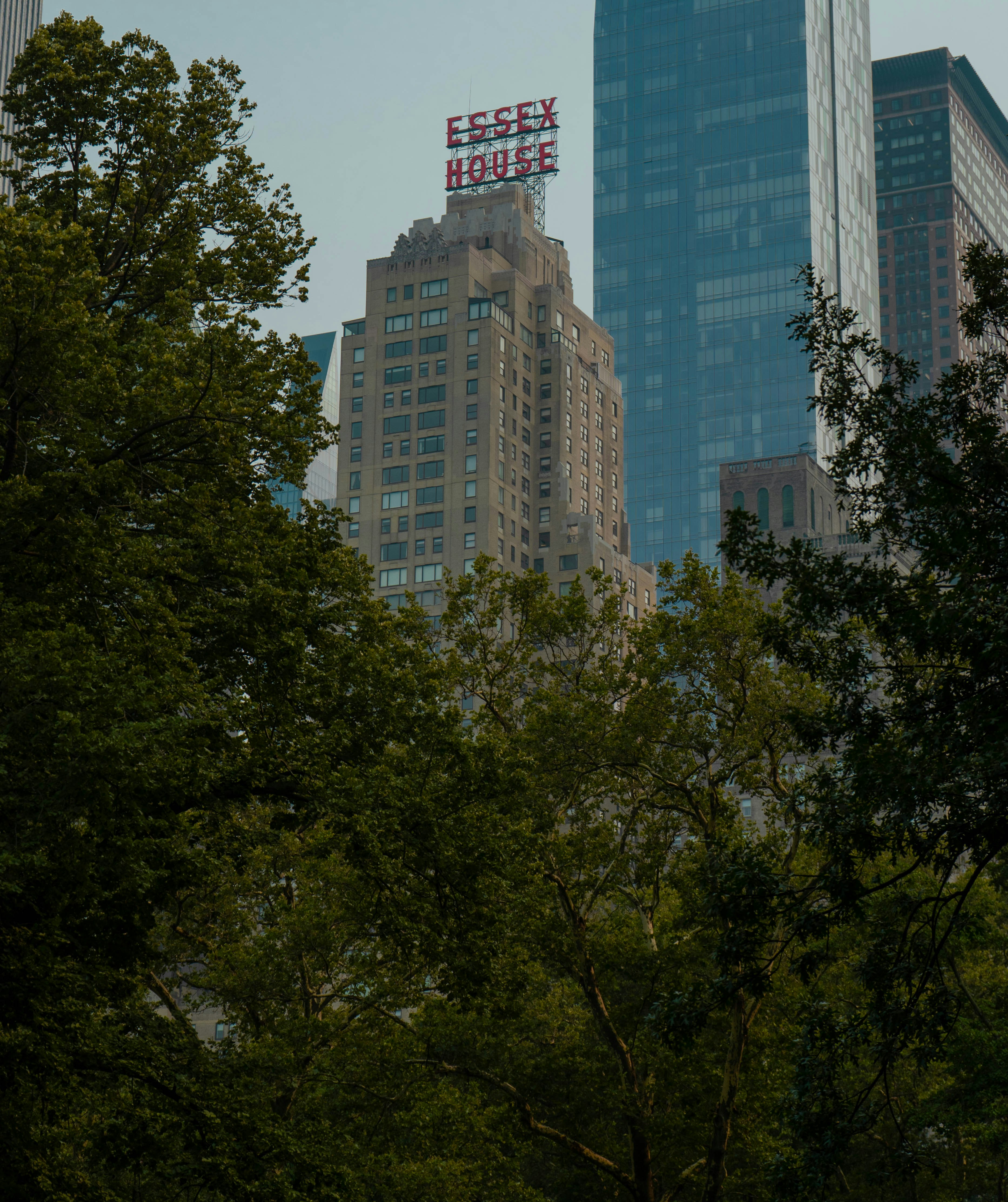 昼間の高層ビルの近くの緑の木々の写真 Unsplashで見つけるjw マリオット エセックス ハウス ニューヨークの無料写真