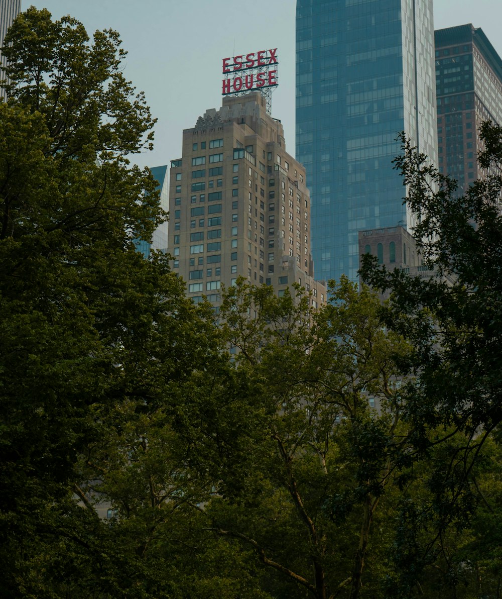 green trees near high rise buildings during daytime