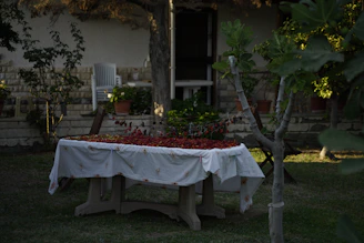 A traditional Mexican chili pepper drying in the sun on a rustic wooden table