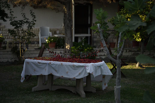 A traditional Mexican chili pepper drying in the sun on a rustic wooden table