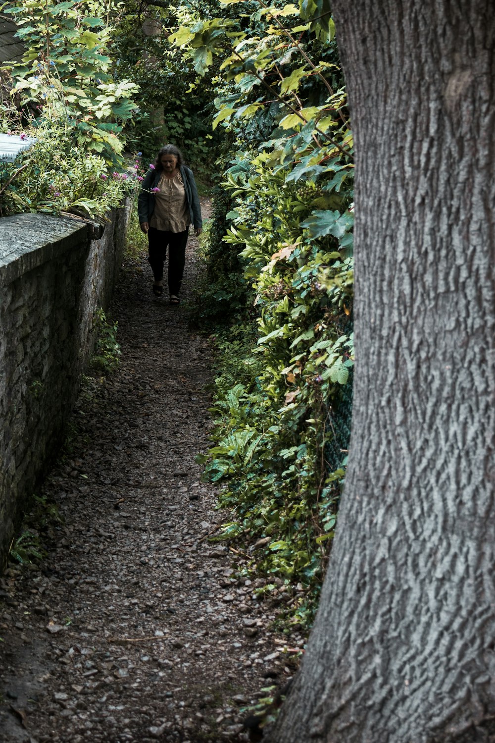 woman in brown coat walking on pathway