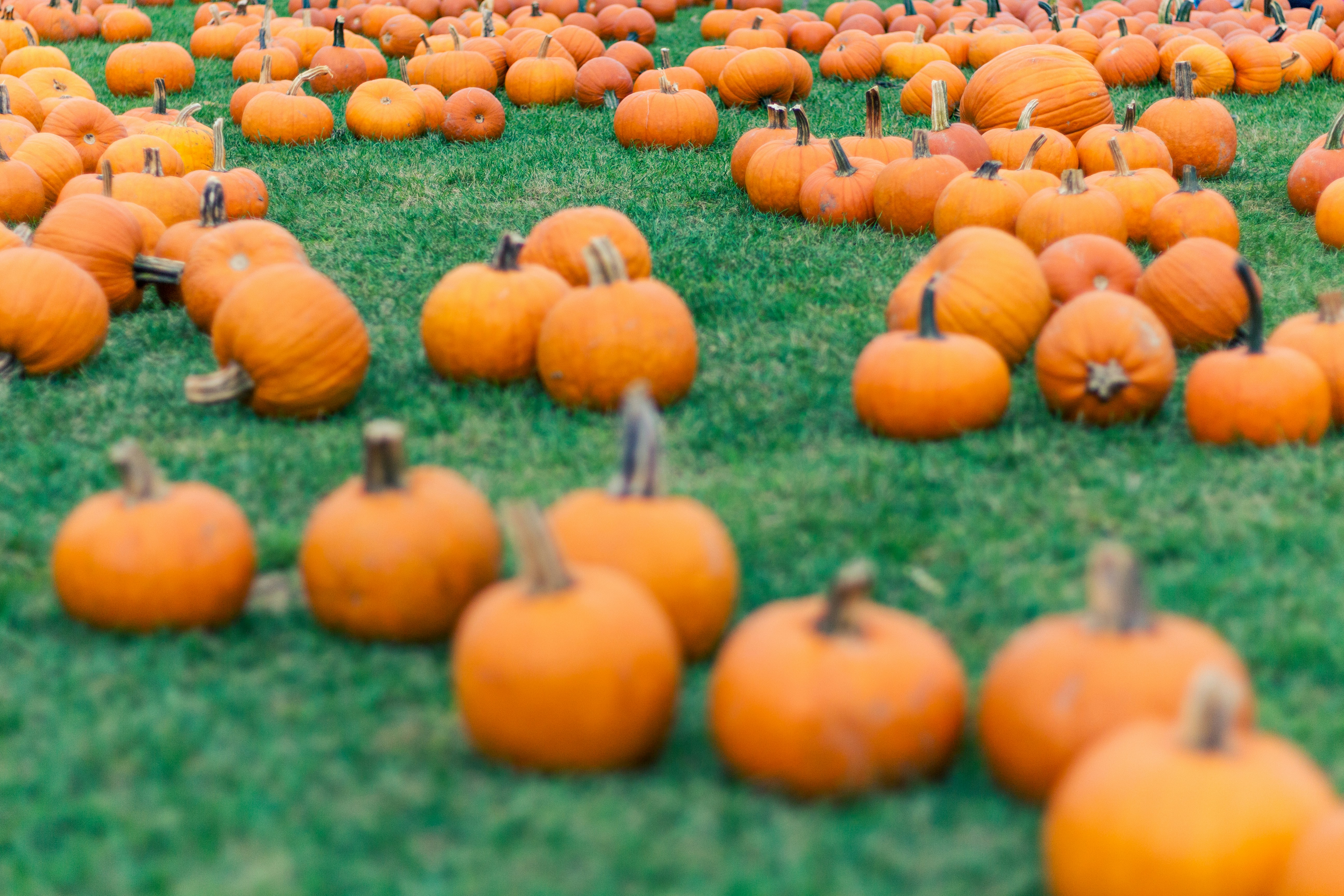 Photo by gerdadesign