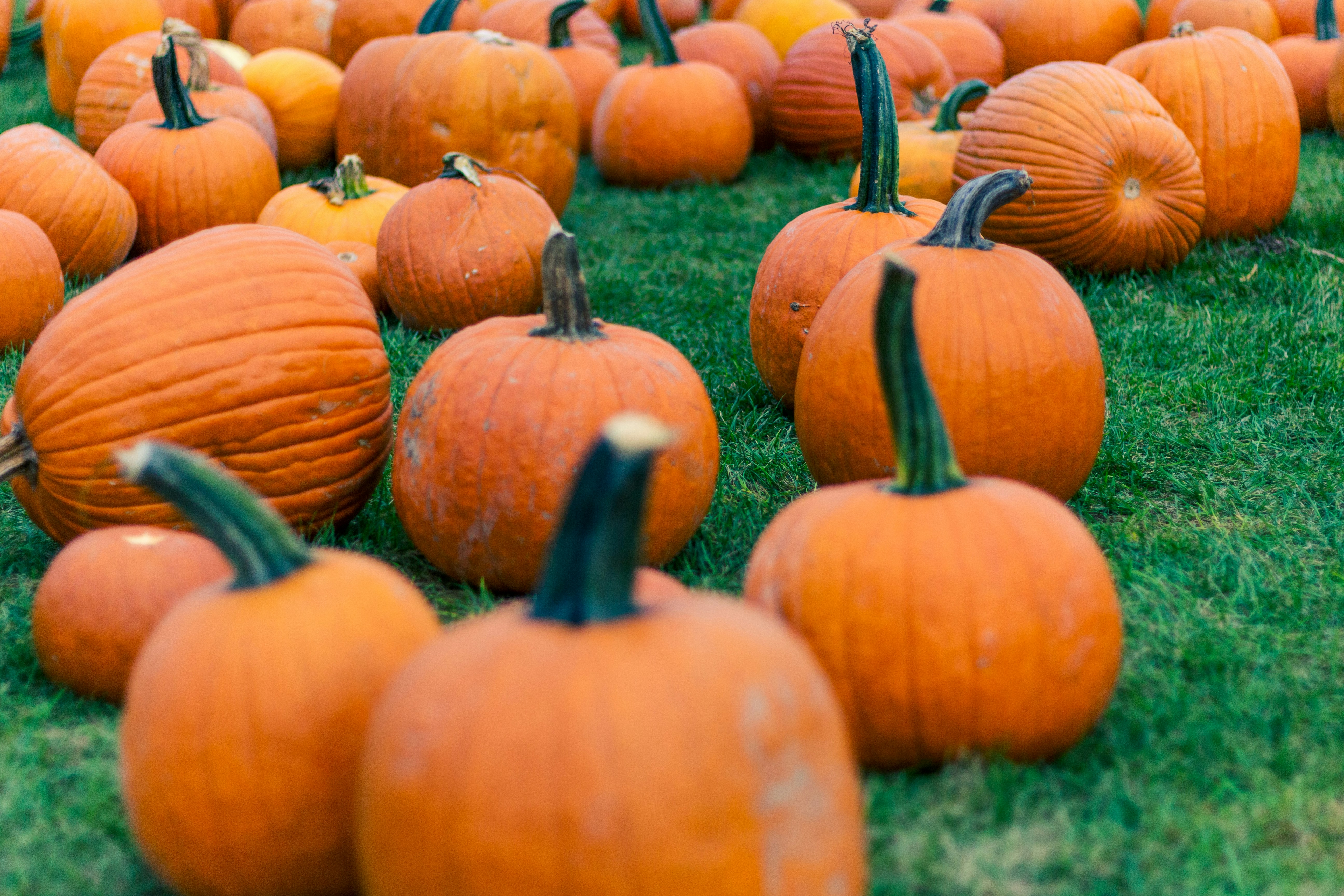 Photo by gerdadesign