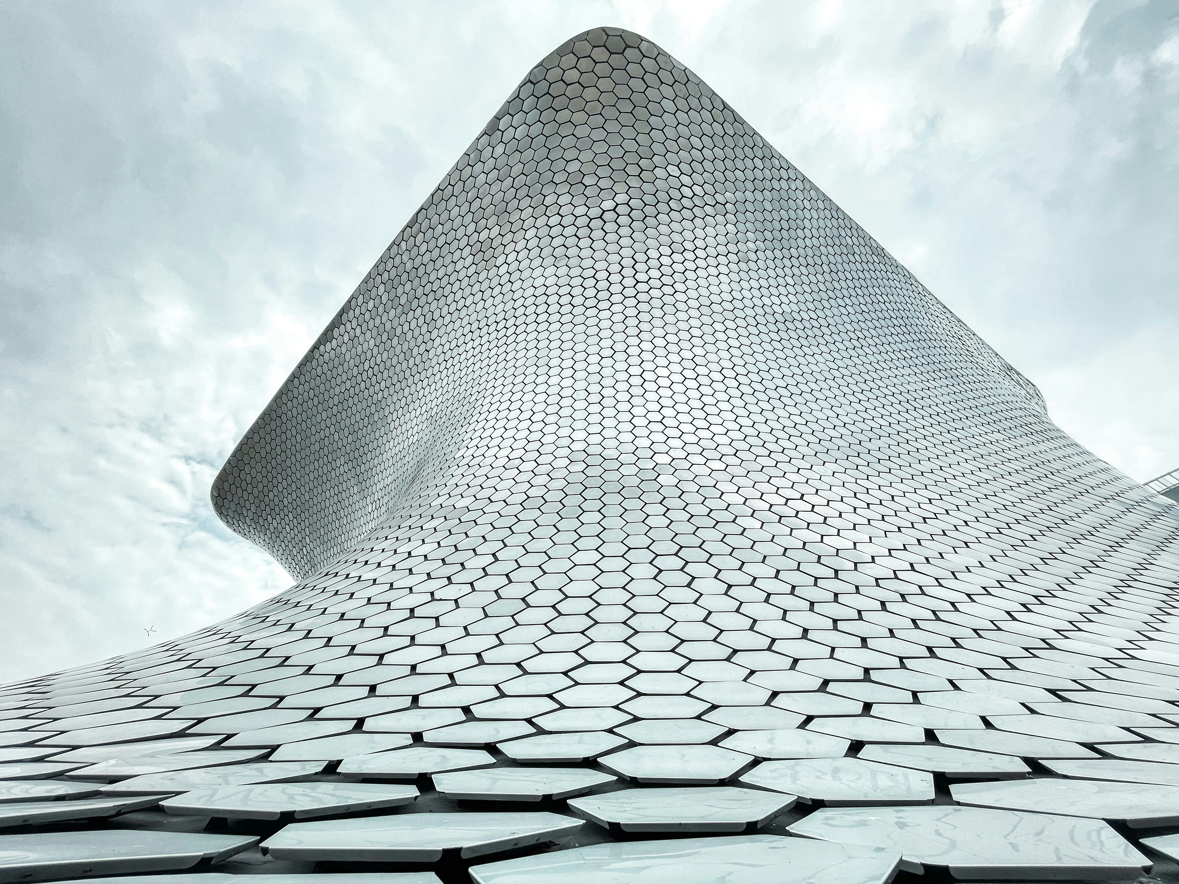 Photo by aryanspixel