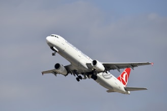 white and red airplane under blue sky during daytime