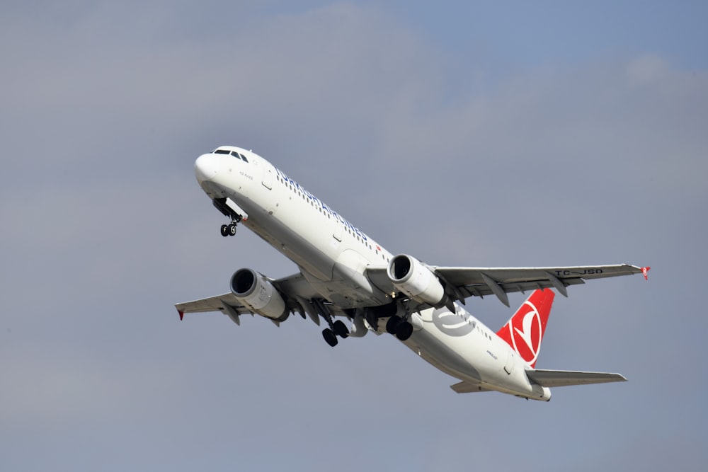 white and red airplane under blue sky during daytime