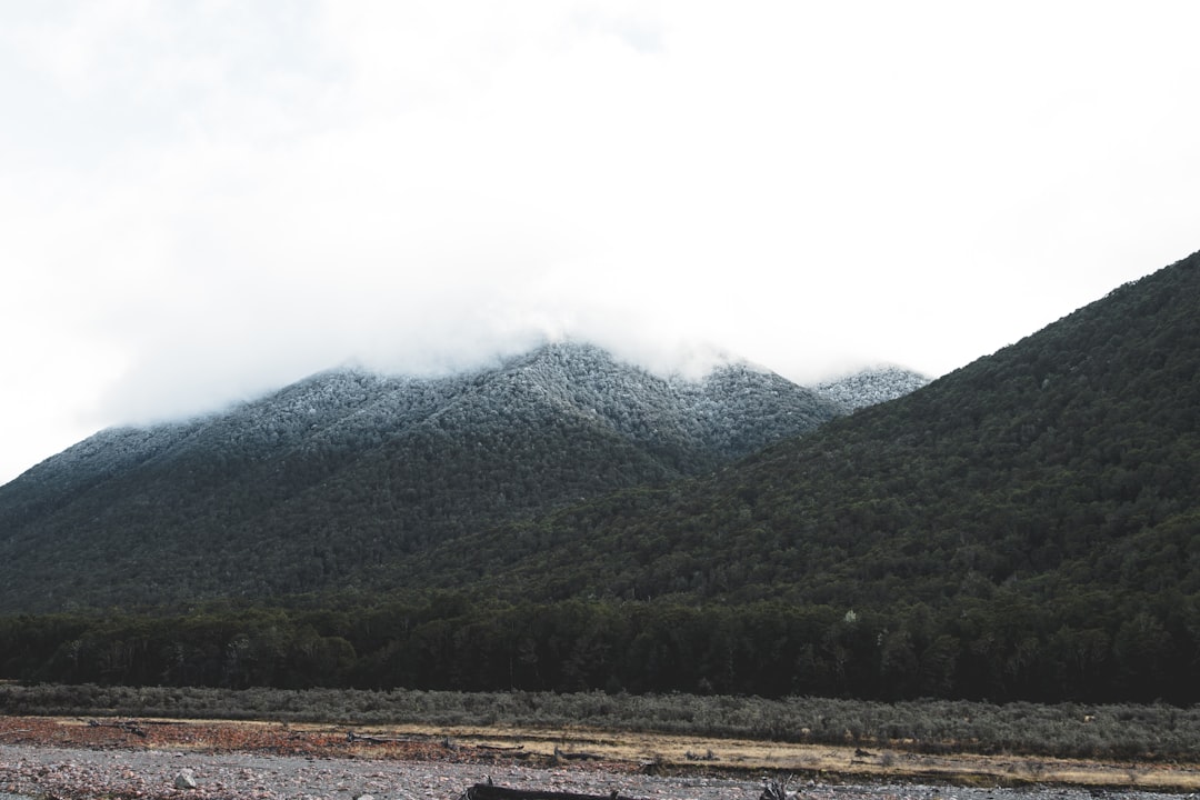 green trees near mountain during daytime