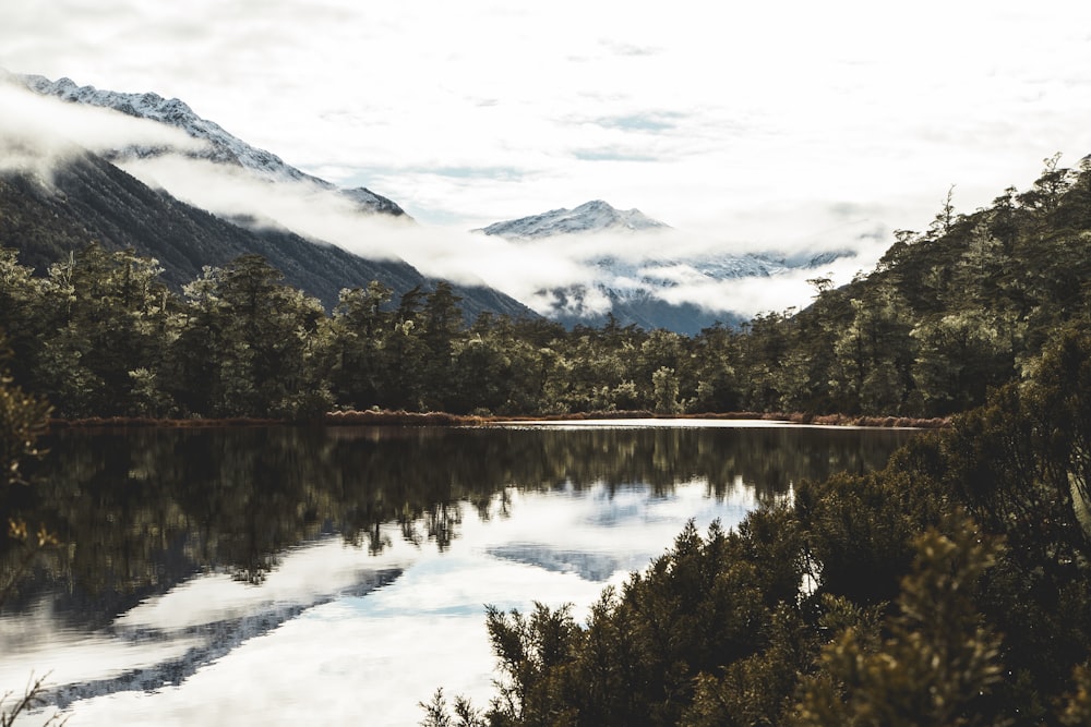 green trees near lake and mountains during daytime