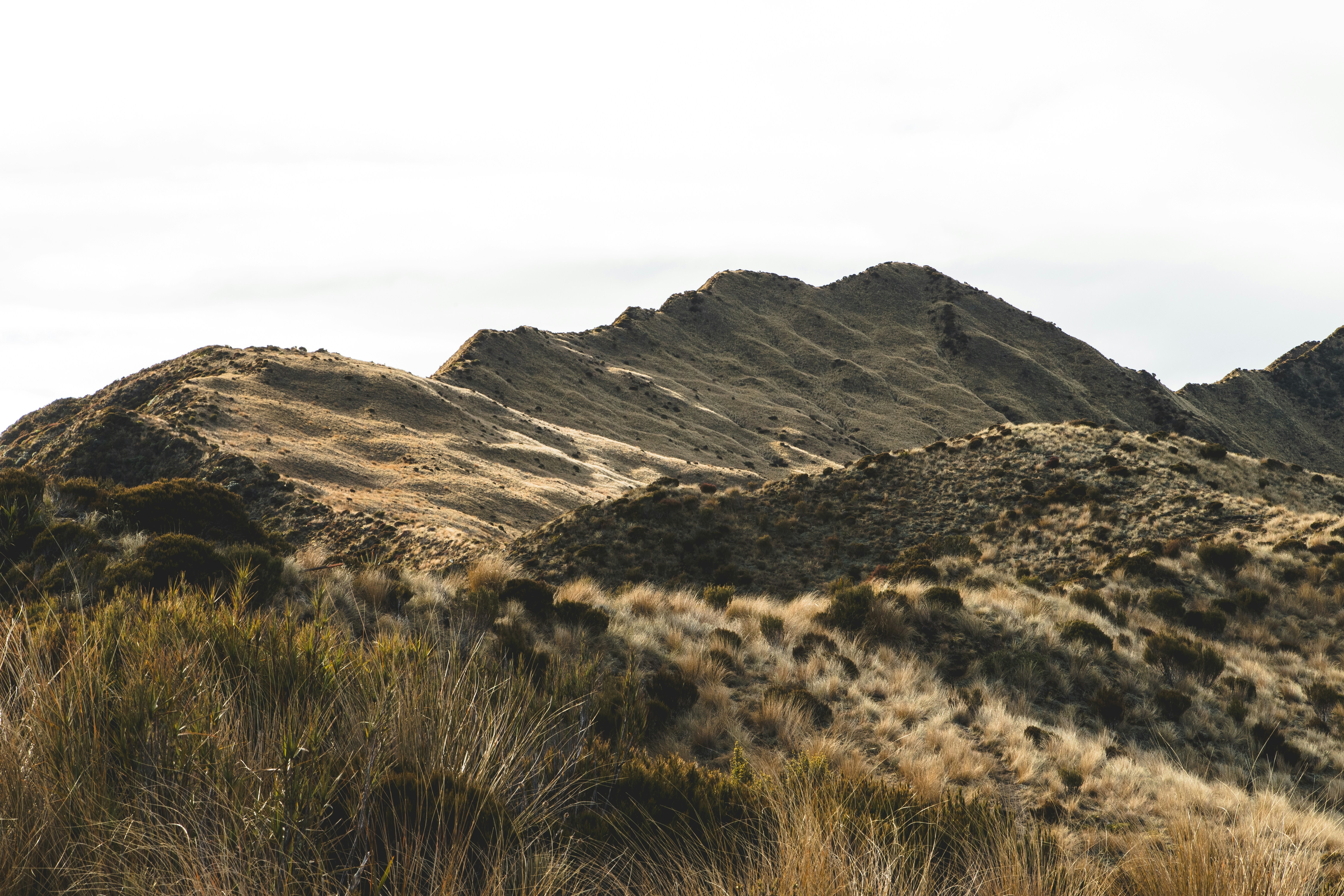 Photo by jasonjsgardner