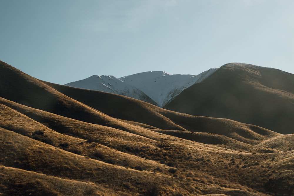 brown field near mountains during daytime