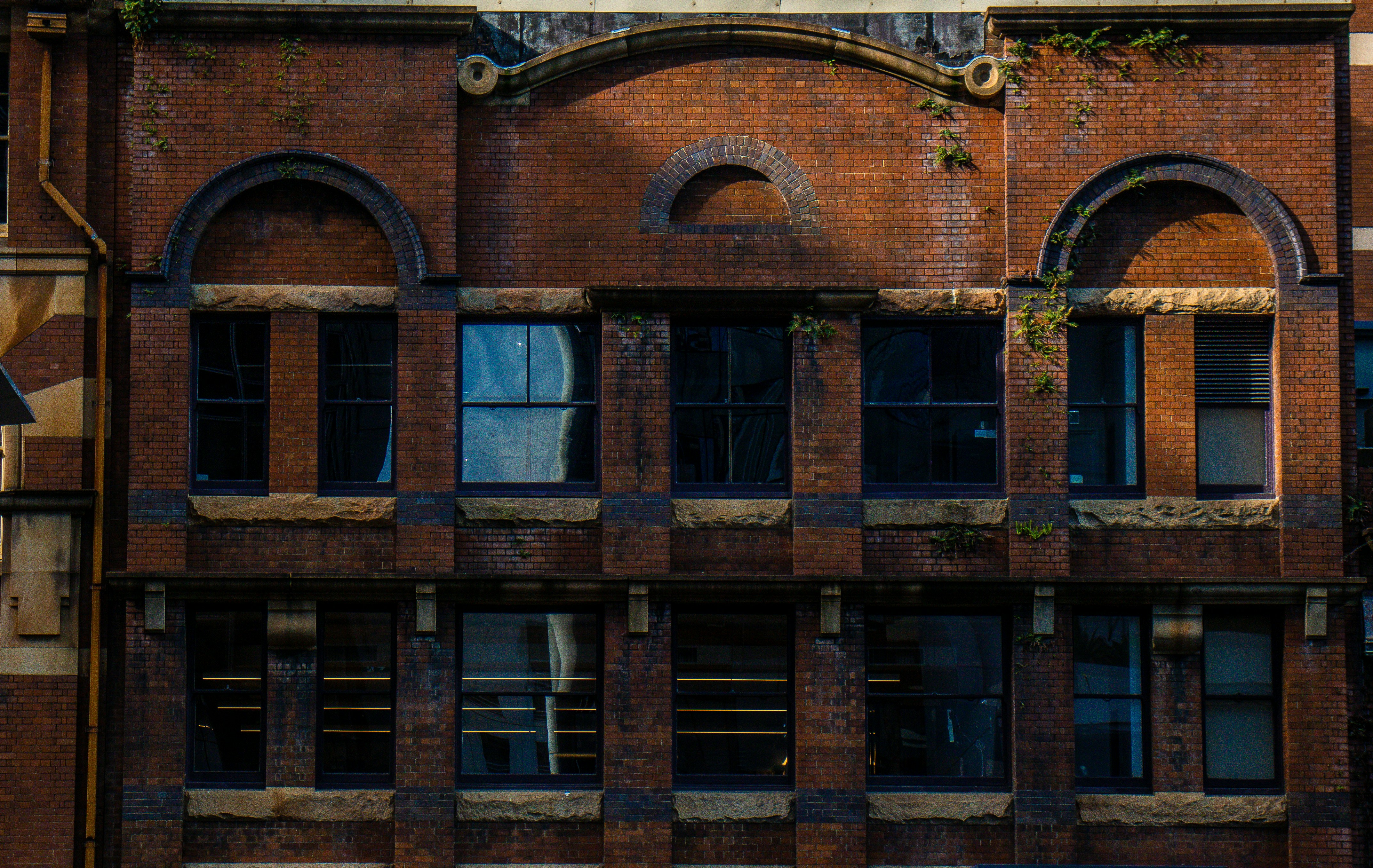 Photo by dynamite_luke