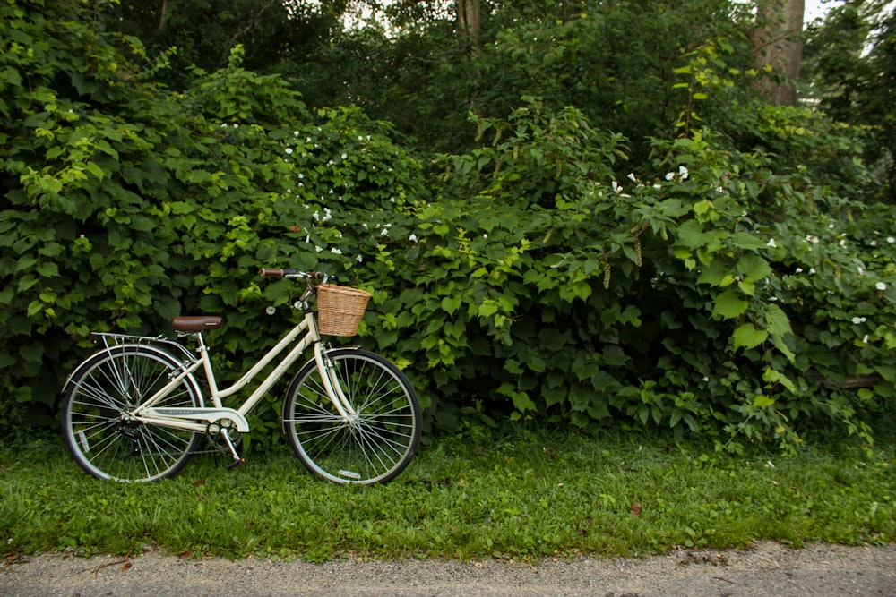 brown city bike parked beside green plants during daytime
