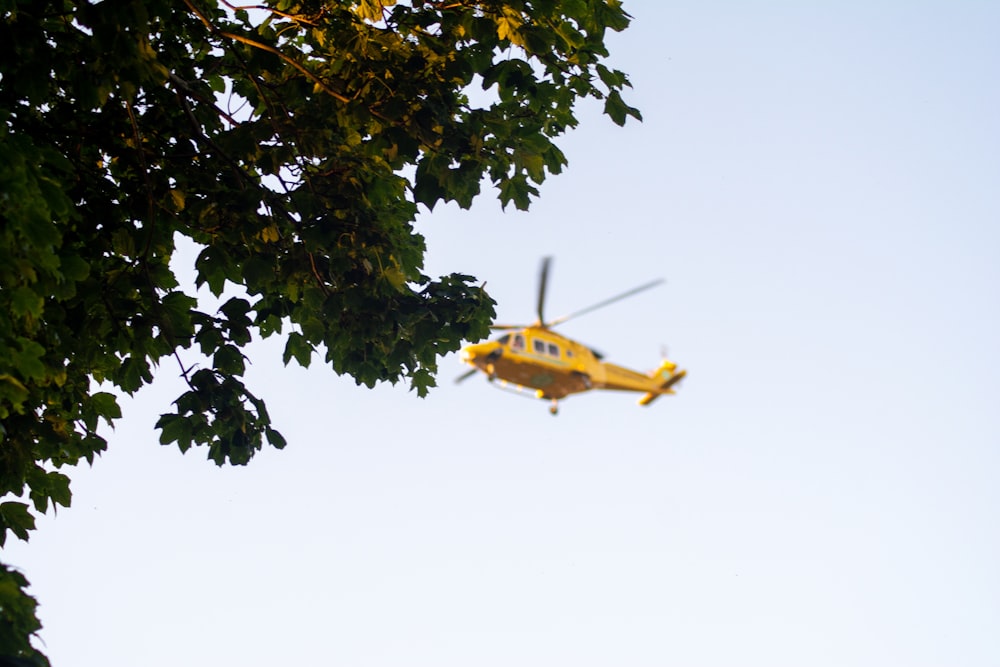 yellow and black helicopter flying over green tree during daytime