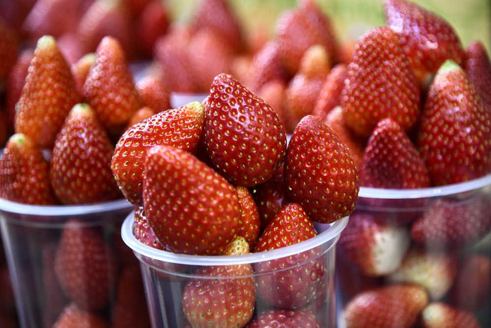 red strawberries in clear plastic container