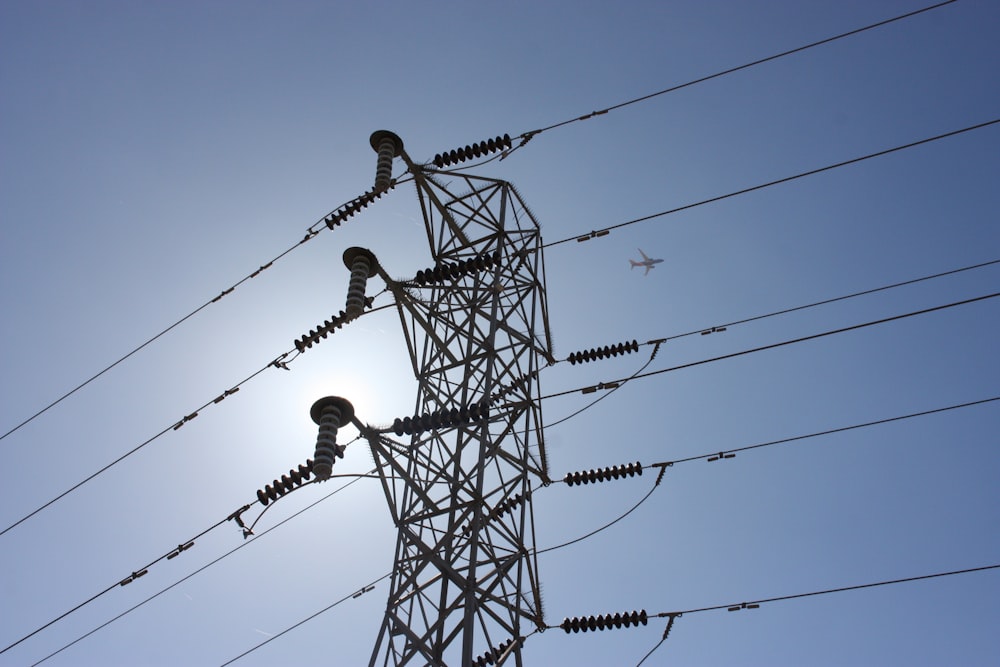 pájaros negros en el cable eléctrico durante el día