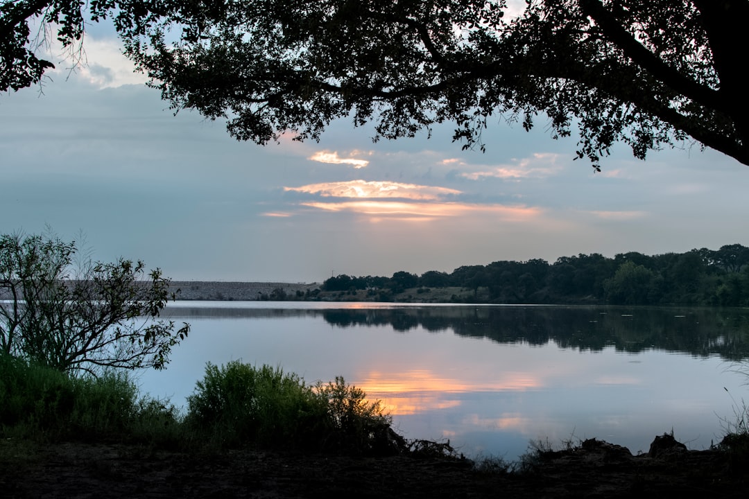 body of water near trees during daytime