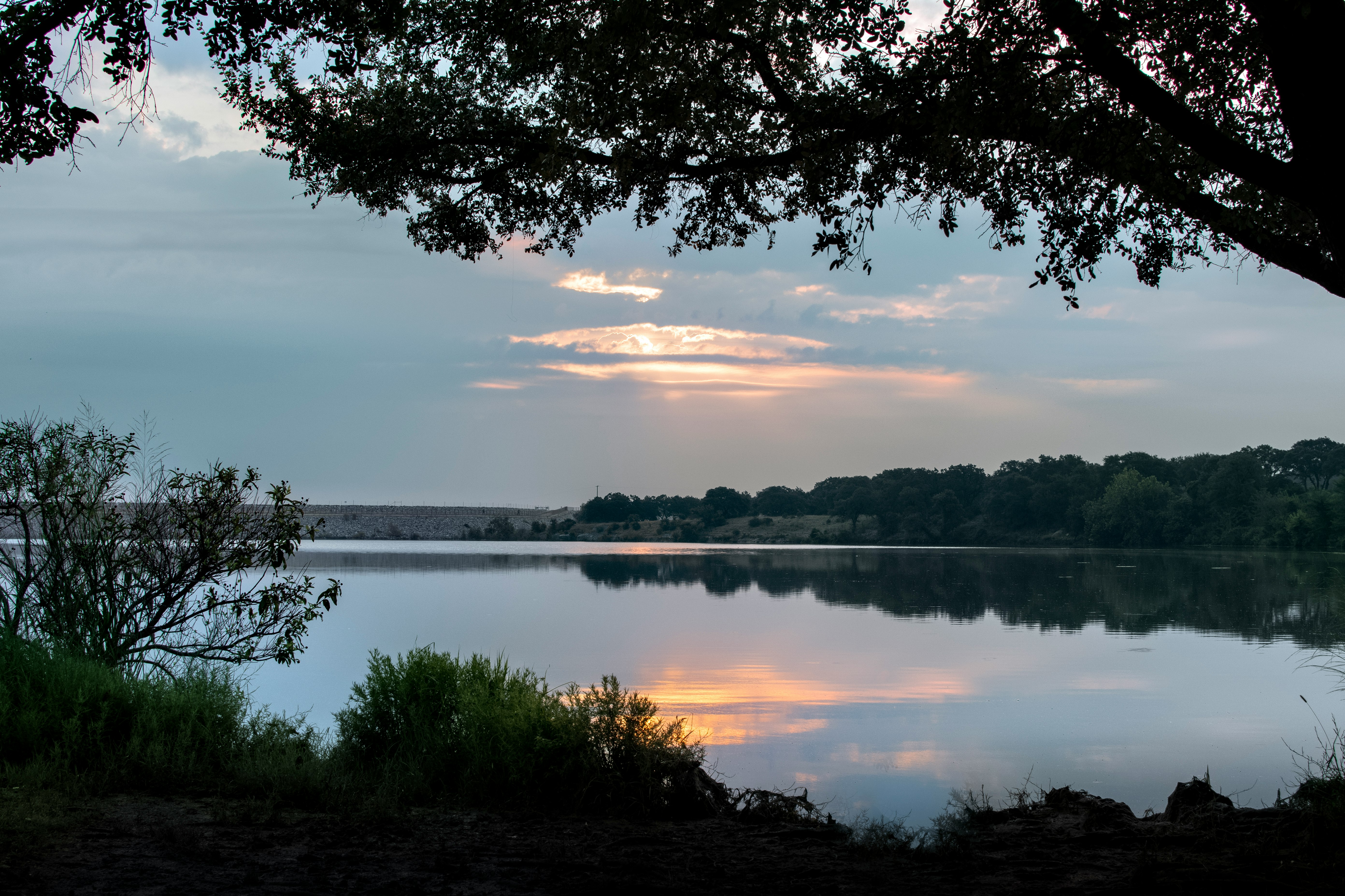 body of water near trees during daytime