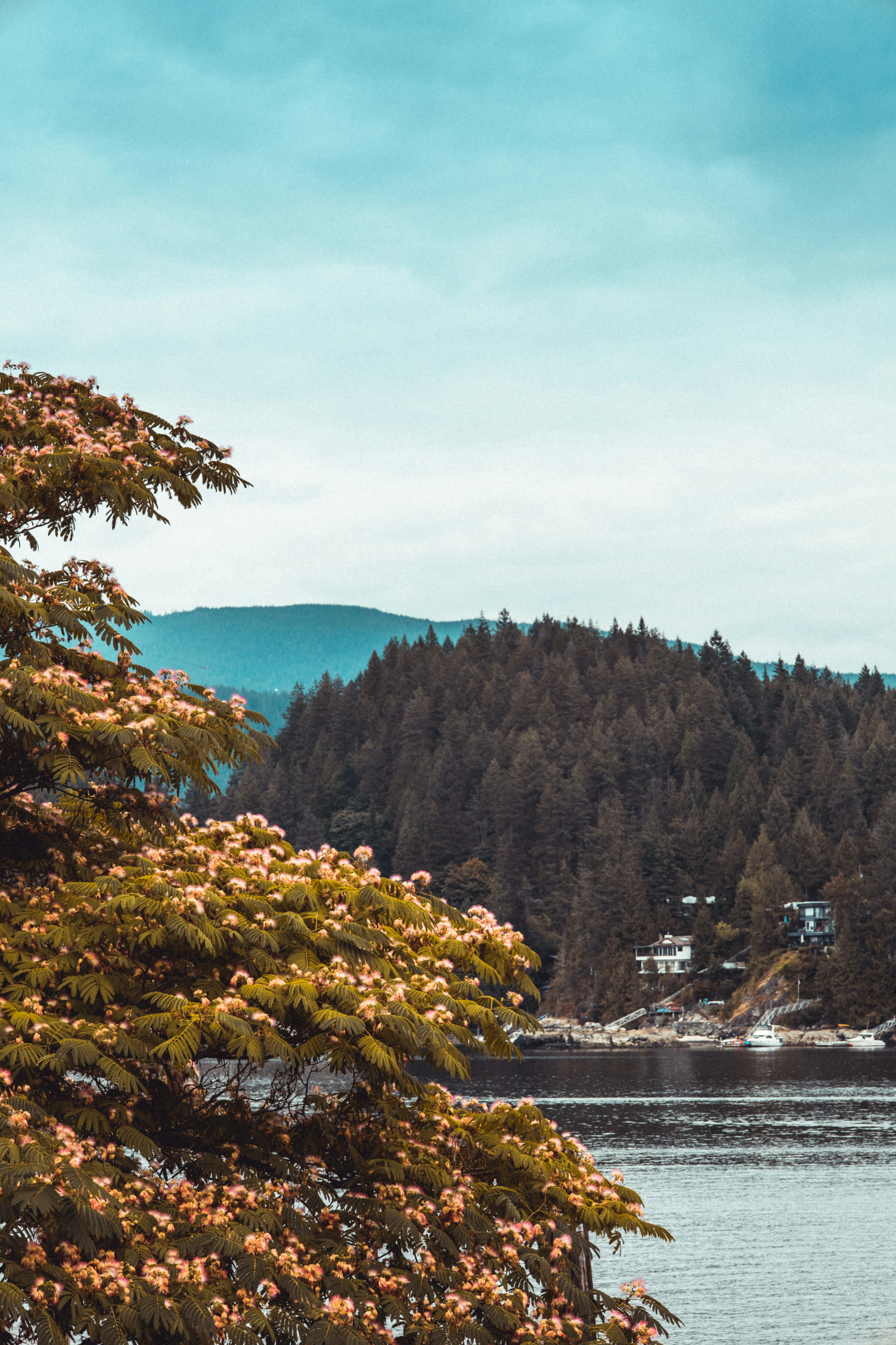 Photo by creativebycatalfo