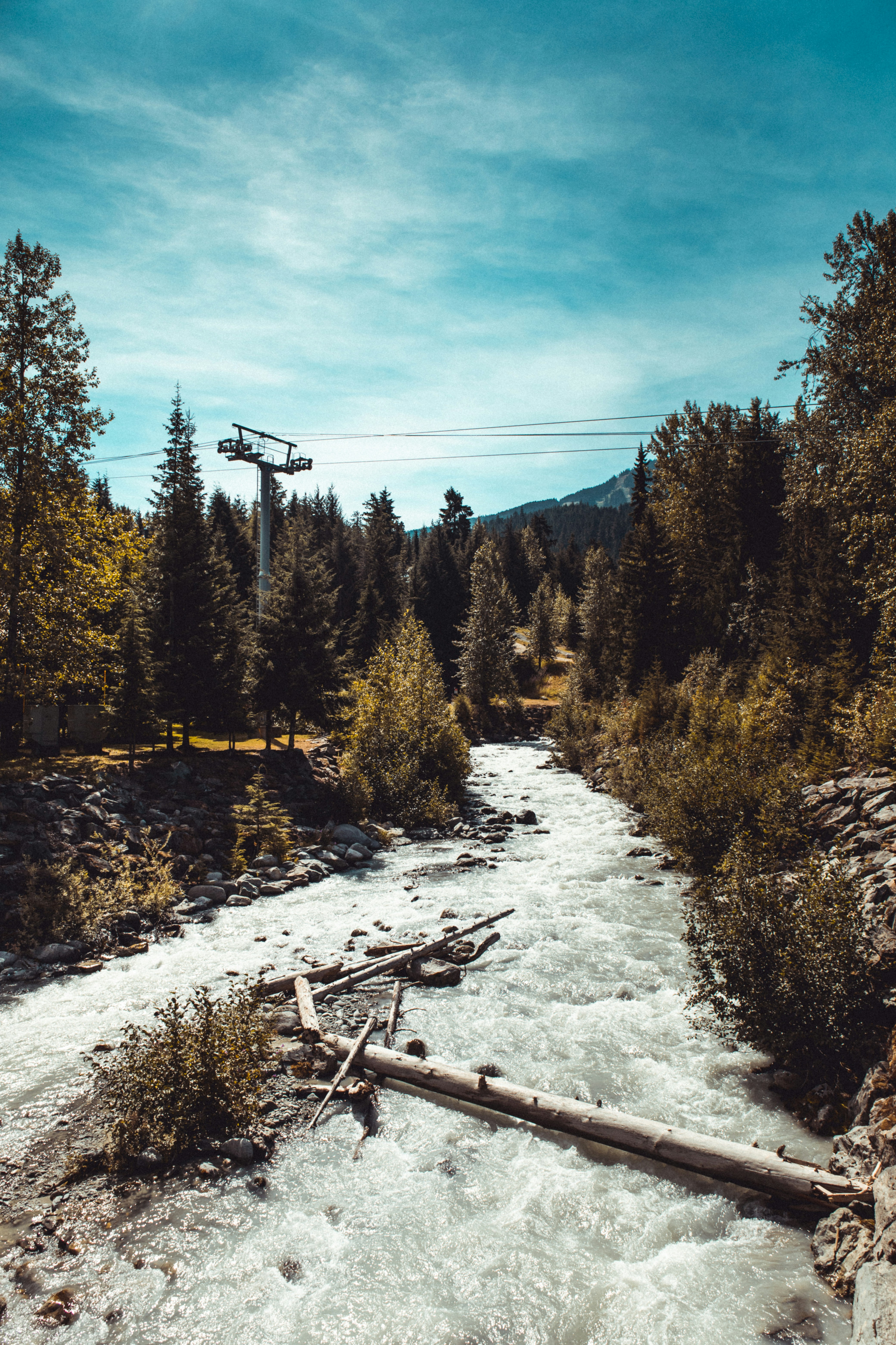 Photo by creativebycatalfo