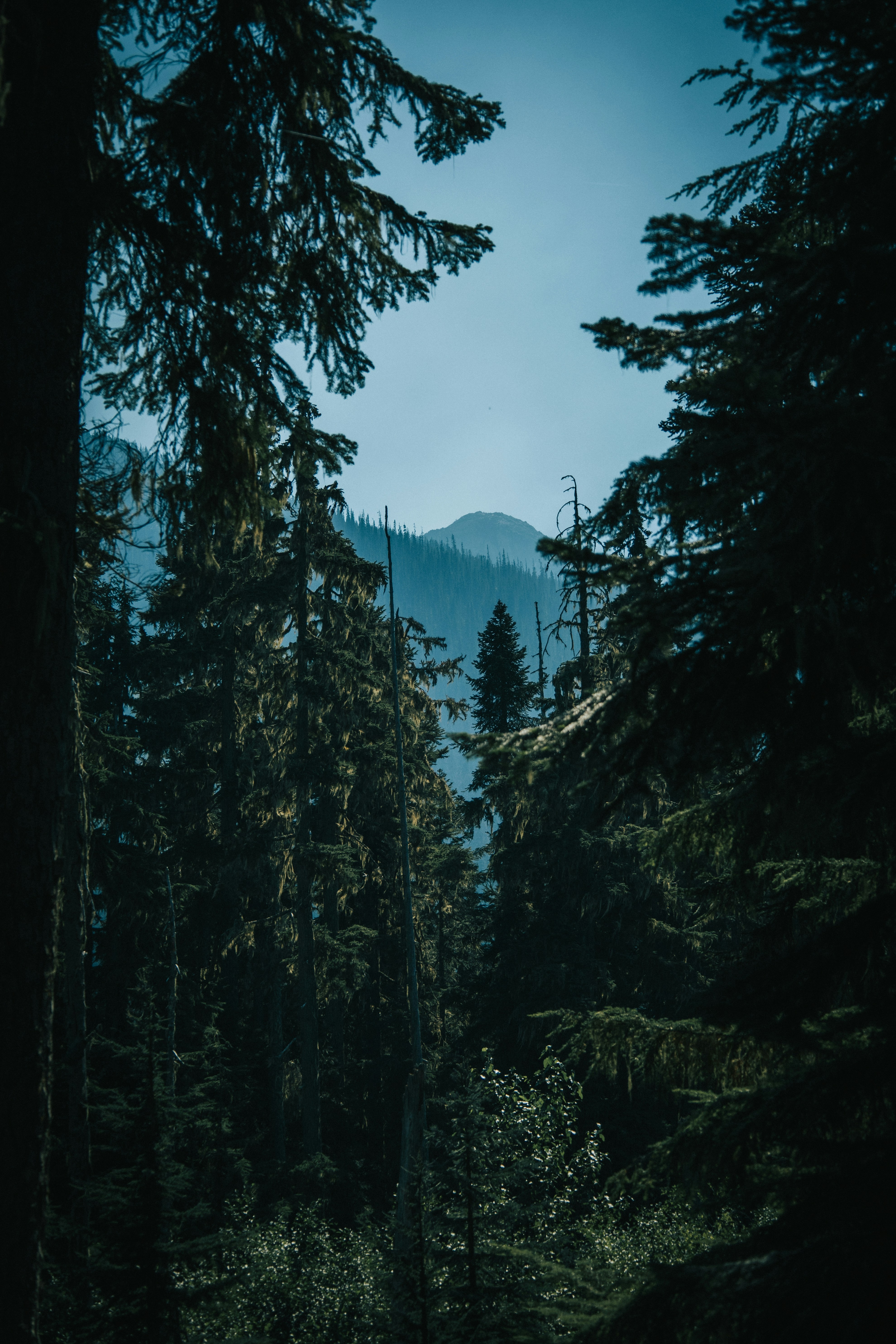 Photo by creativebycatalfo