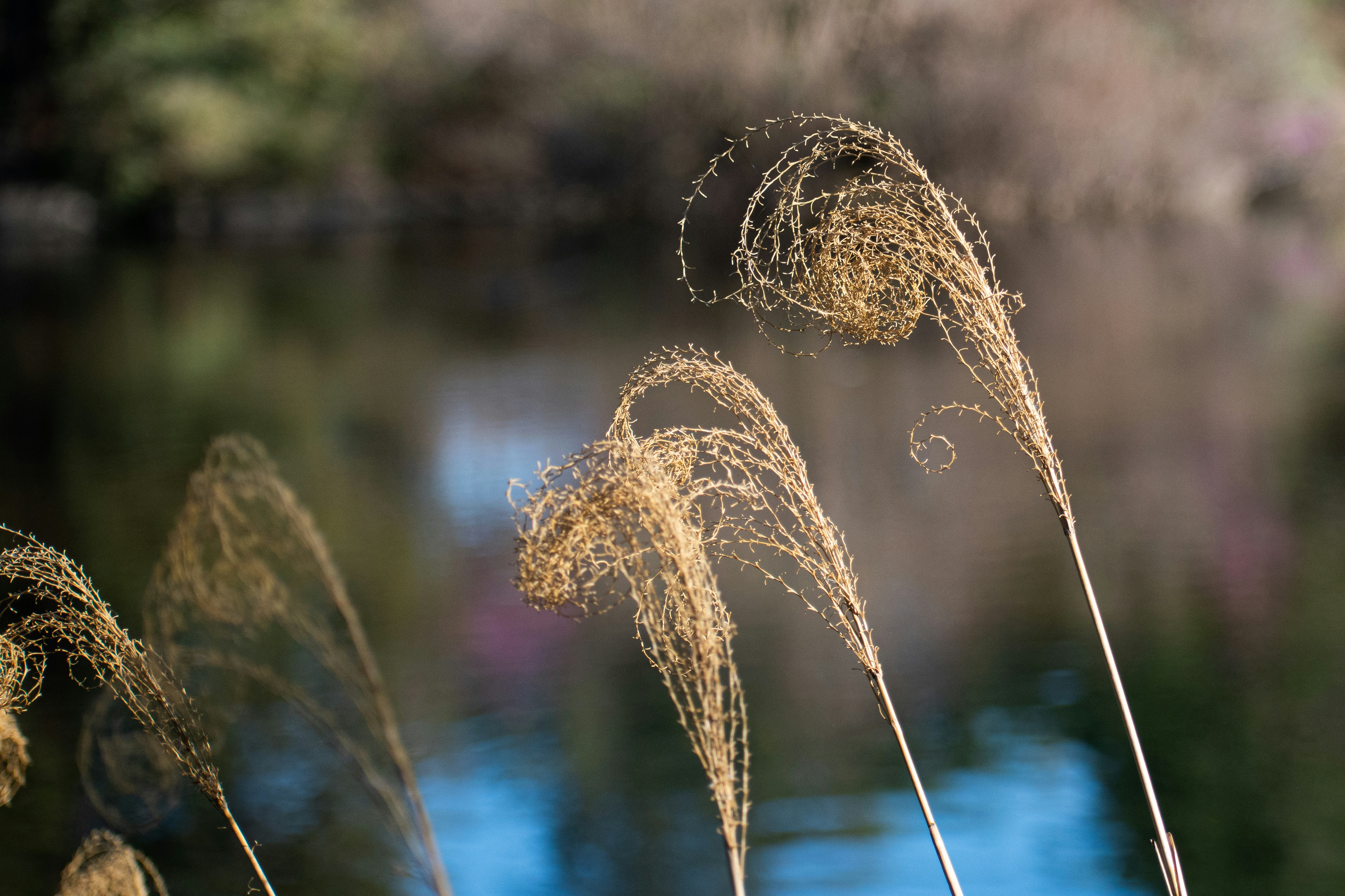 Photo by elisastonephotography