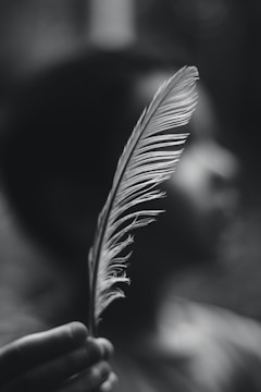 white feather in black background