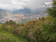Lush green landscapes and vibrant city life in Santa Cruz on a sunny day.