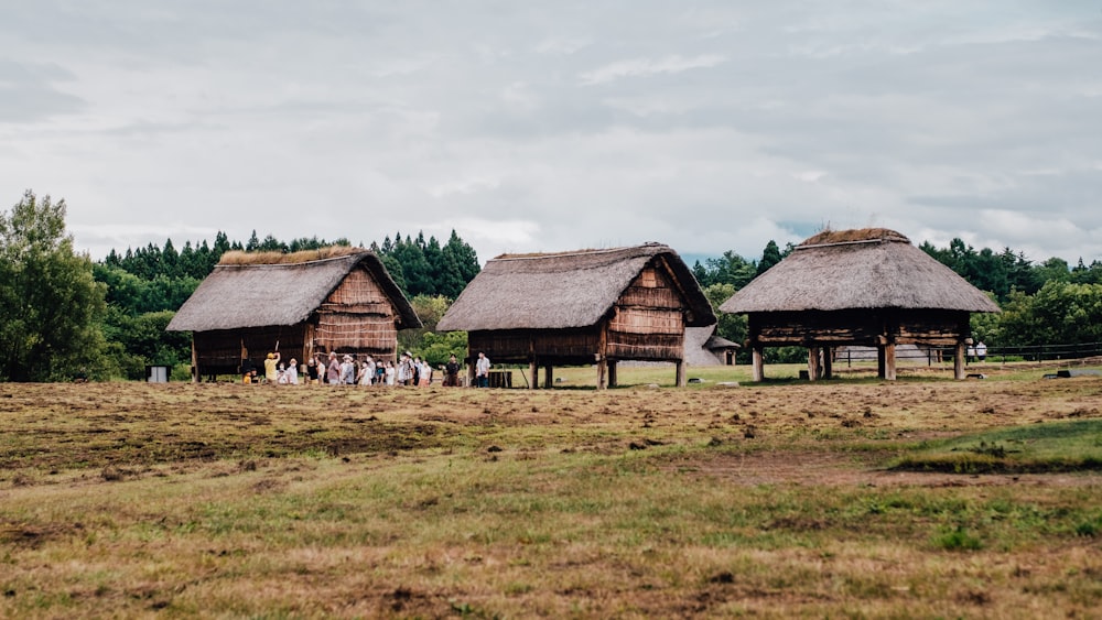 brown wooden houses on green grass field under white clouds during daytime